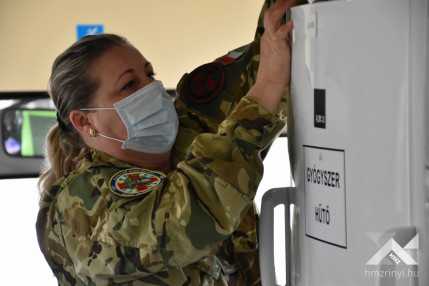 Szalonna_olt+-busz (4)