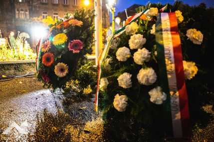 636561ea5894c339072619