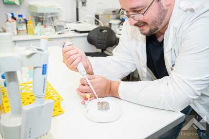 Fotózás a KEHOP kisfüzethez  KLAC3857