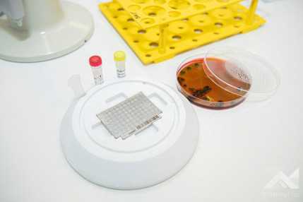 Fotózás a KEHOP kisfüzethez  KLAC3867