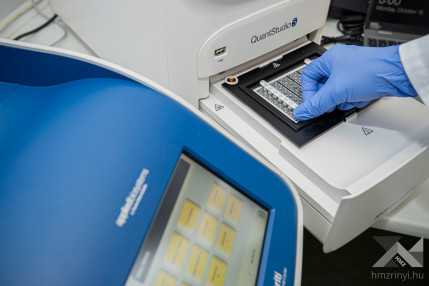 Fotózás a KEHOP kisfüzethez  KLAC3940